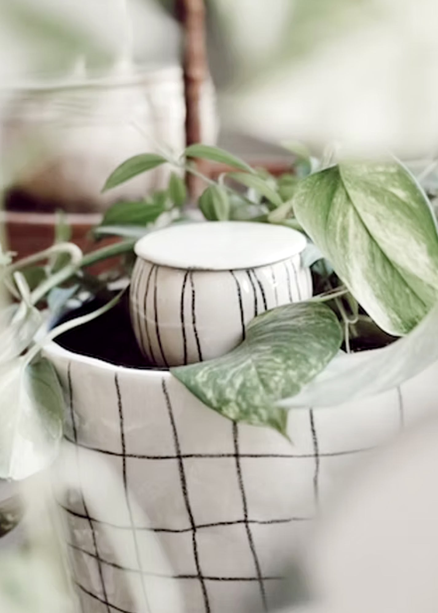 Oya avec quadrillage