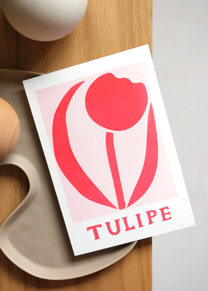 Petite tulipe