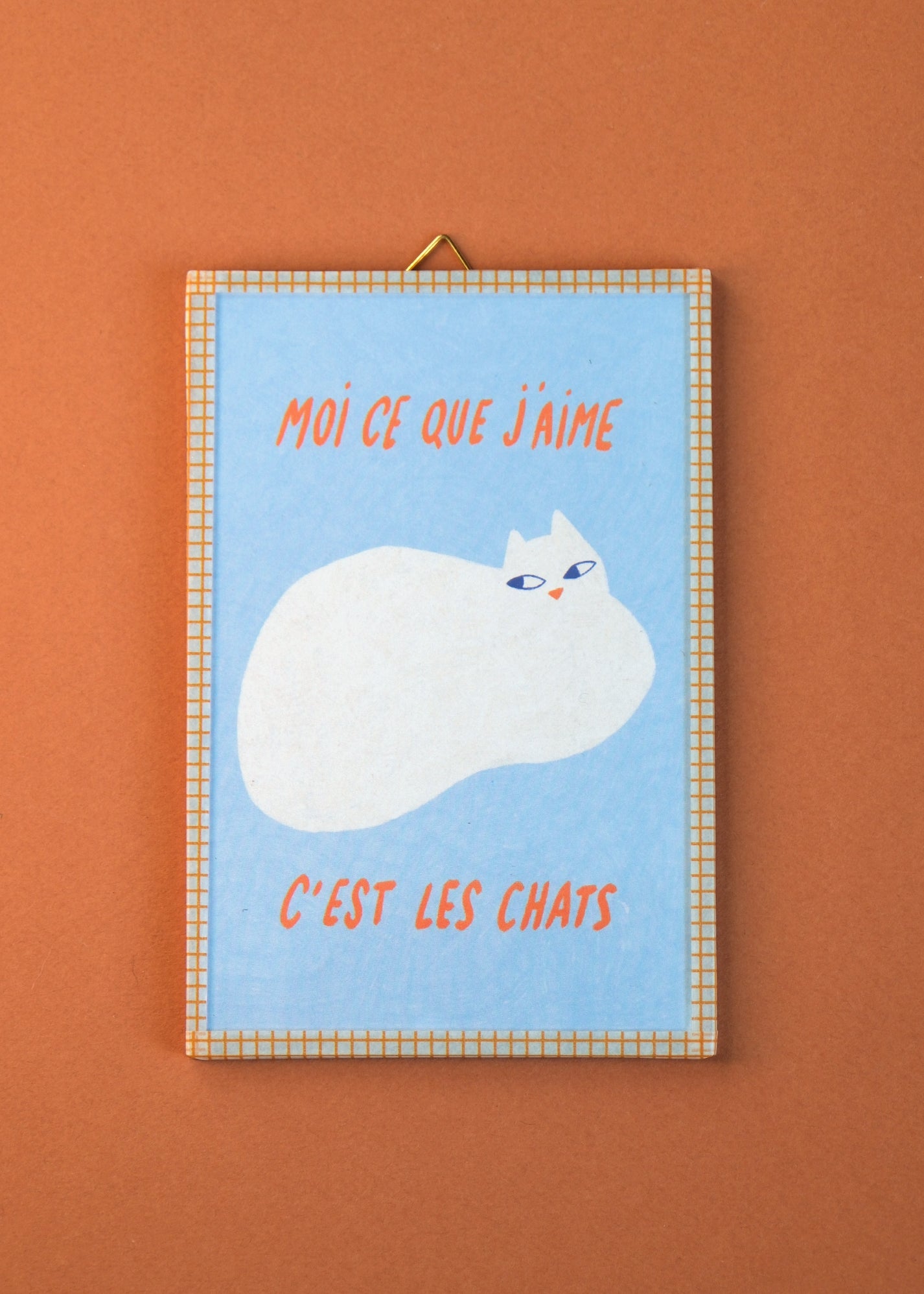 Mini cadre Chat
